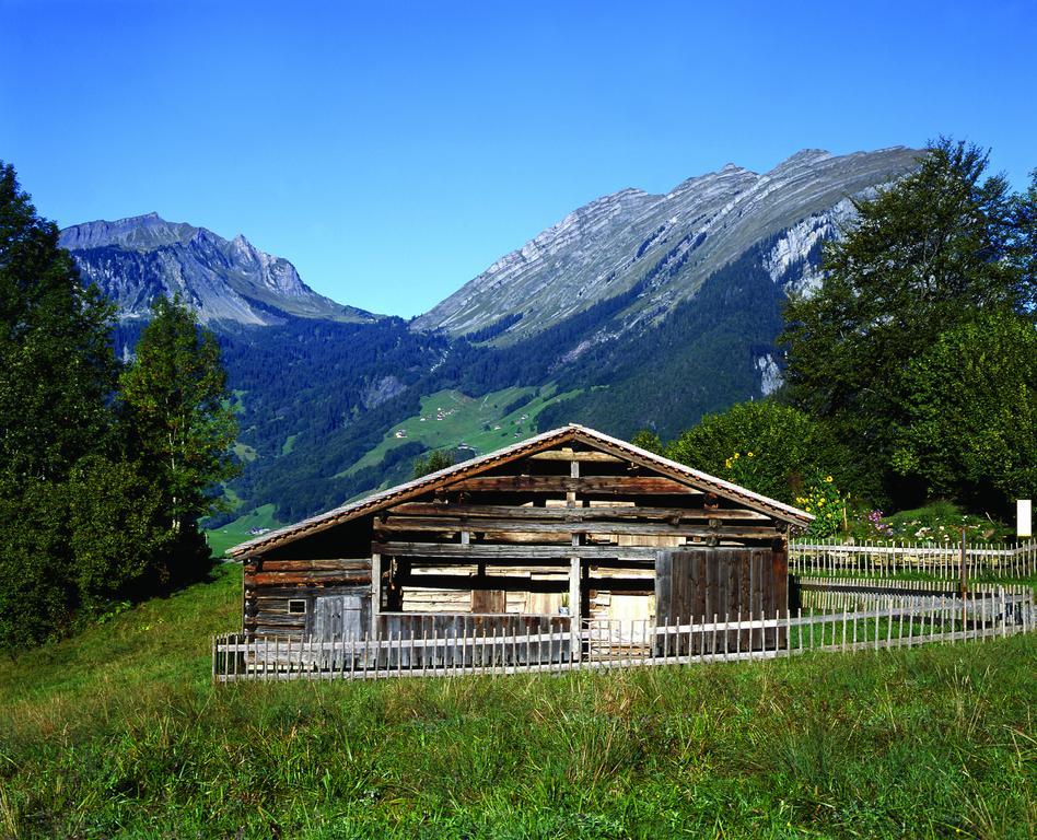 Kanis Appartements Schoppernau Exteriér fotografie